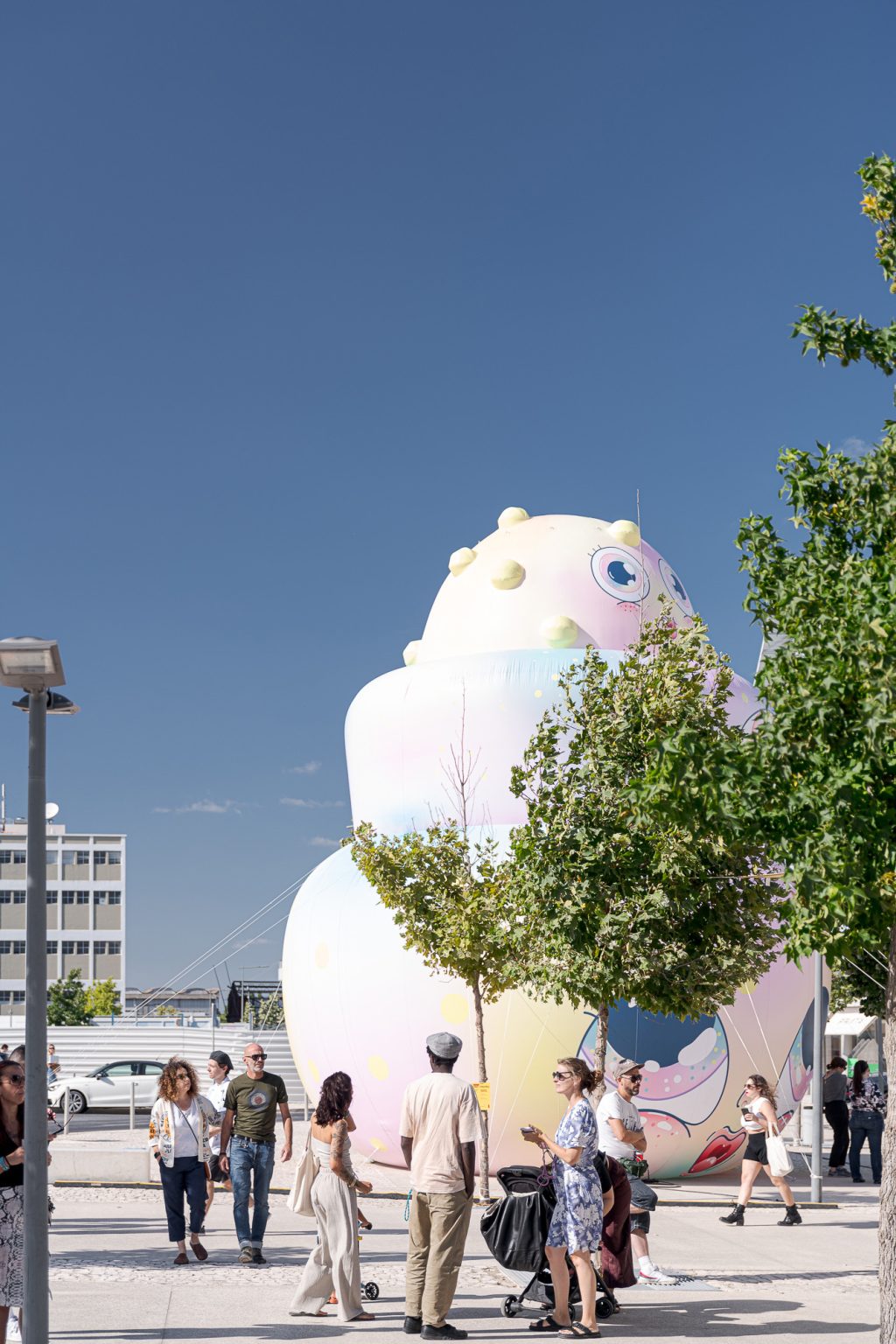 VIC gallery image