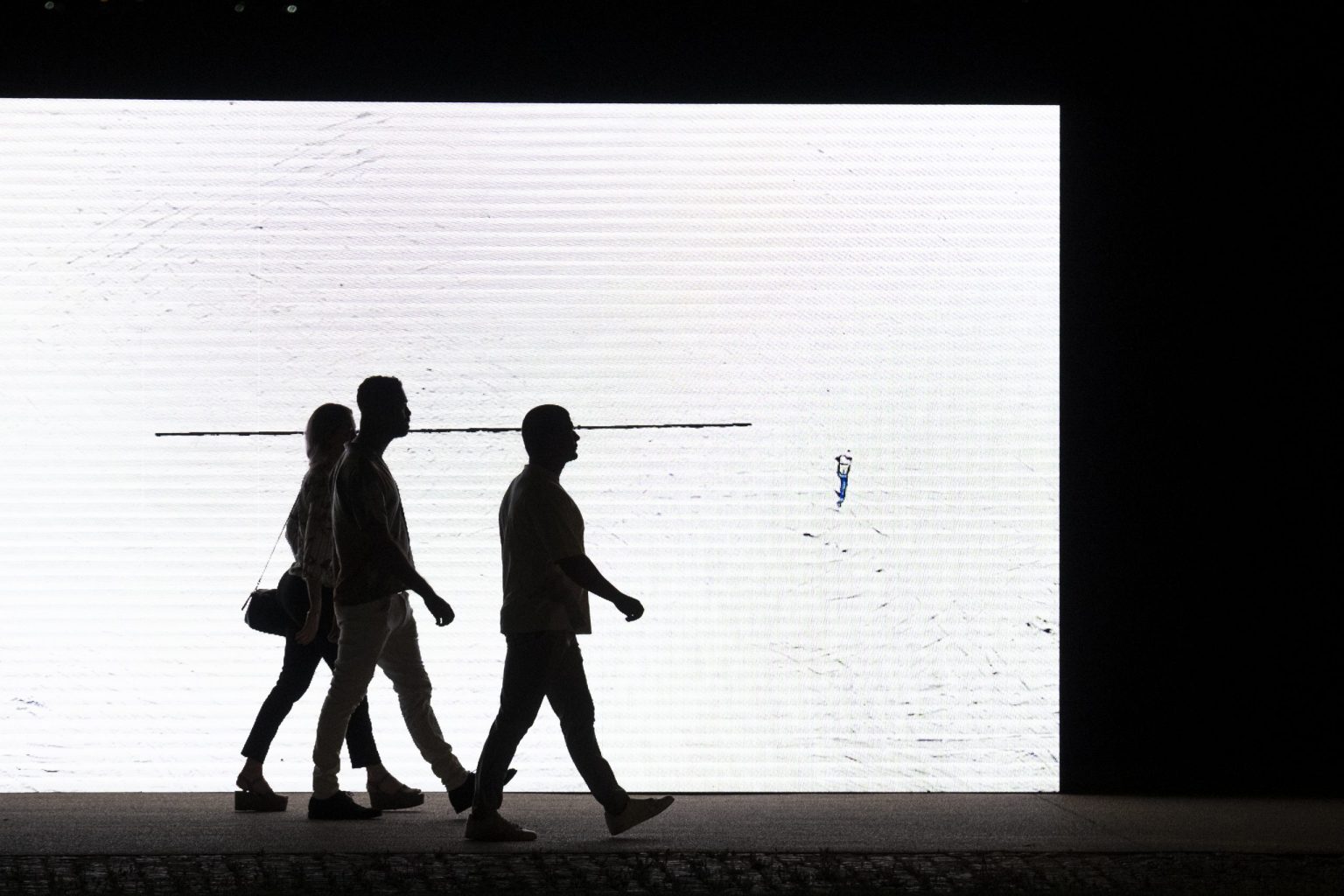 VIC gallery image